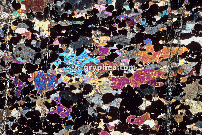 Eclogite LPA x3,5 - gryphea.org